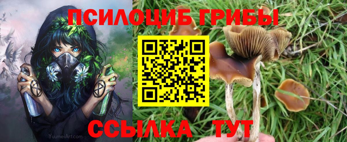 Волжский  Галлюциногенные грибы MAGIC MUSHROOMS  Галлюциногенные грибы мухоморы  Вход с VPN 